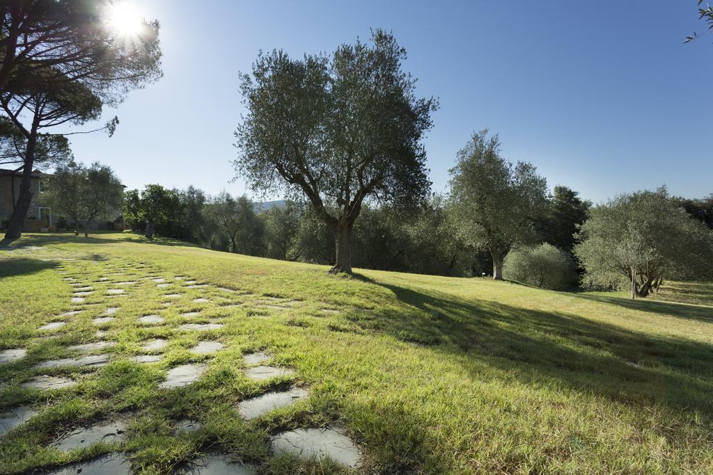 Hotel Casale Degli Ulivi Rapolano Terme Zewnętrze zdjęcie