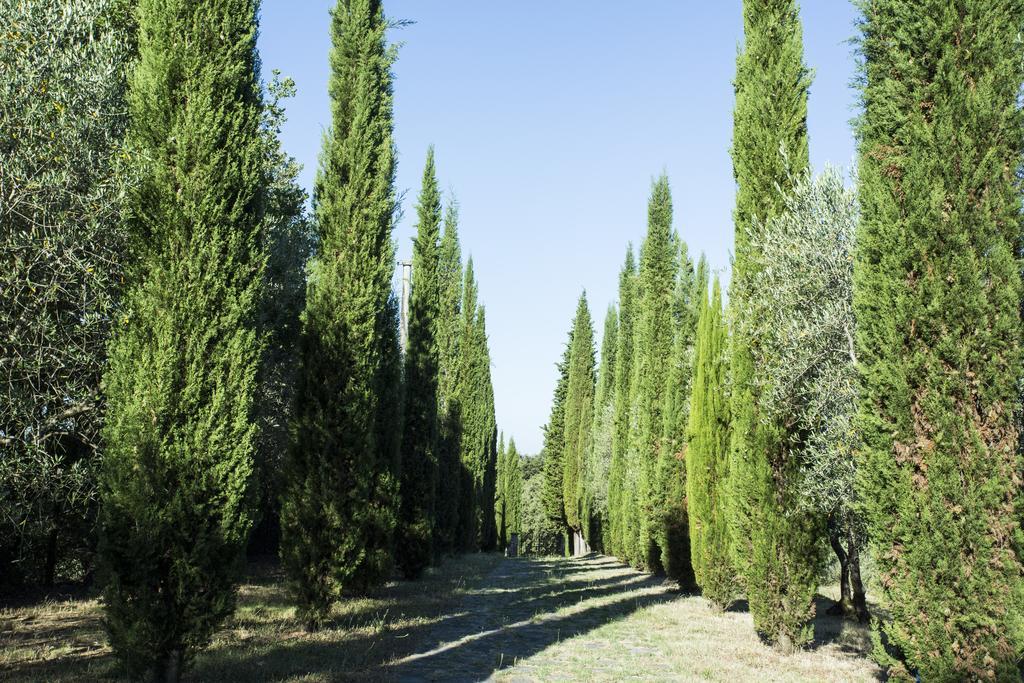Hotel Casale Degli Ulivi Rapolano Terme Zewnętrze zdjęcie