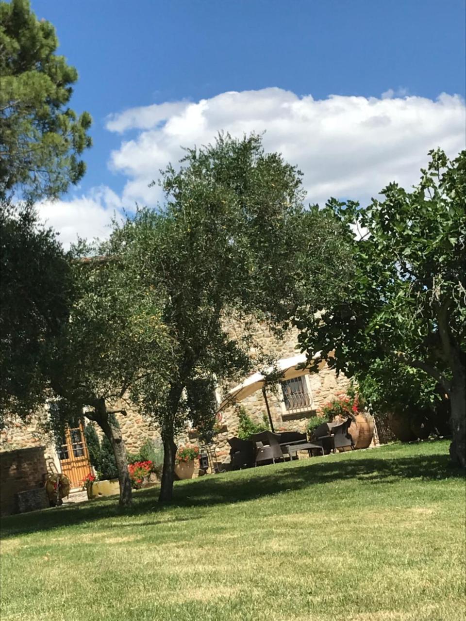 Hotel Casale Degli Ulivi Rapolano Terme Zewnętrze zdjęcie